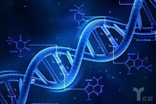 基因編輯新銳 會是下一個華大基因嗎？